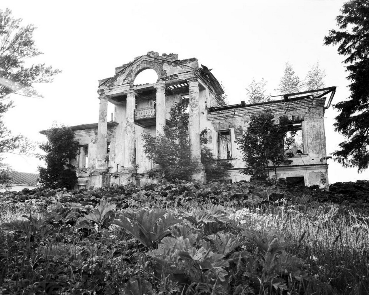 Медведки Сусанинский р.- ус. С.А. Бартенева. Главный дом, 1-я четв. 19 в. ф. Рудченко 2006